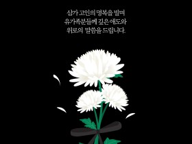 "개인의 범죄, 전체 교사 낙인화로 이어져선 안 돼" 대한초등교사협회, 대전 초등생 살해 사건 관련 입장문 발표