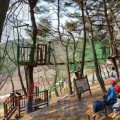 "산불 위기경보 '심각' 속 팔공산 수련원 수련활동 강행... 안전불감증 논란"