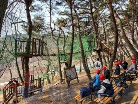 "산불 위기경보 '심각' 속 팔공산 수련원 수련활동 강행... 안전불감증 논란"