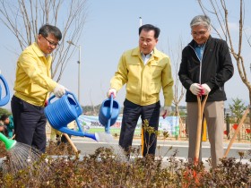"푸른 학교, 지속가능한 미래" 충남교육청, 식목일 맞아 탄소중립 나무심기 행사
