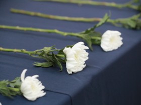 "서이초 사건 국정조사 실시하라"… 대한초등교사협회, 국회에 공식 요청 예정