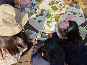 “마을숲에서 배우고, 장군산에서 자란다!” 세종교육청, 유치원 지역특화교육과정 시범 운영